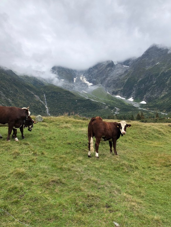 Bnv7yzP9RYWuSVz5LW58rQ